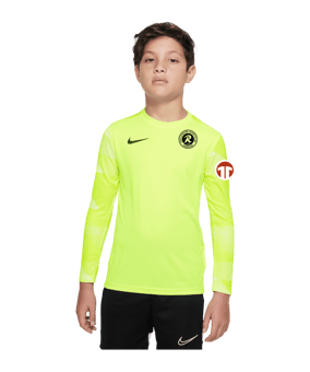 Nike Park IV TW-Trikot langarm Kids Gelb F702
