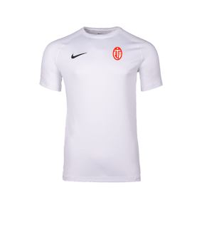 Nike Park VIII Trikot Weiß F100