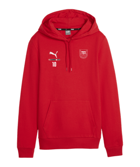 PUMA teamGOAL Casuals Hoody Damen Rot F01