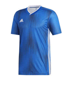 adidas Tiro 19 Trikot kurzarm Blau Weiss - blau