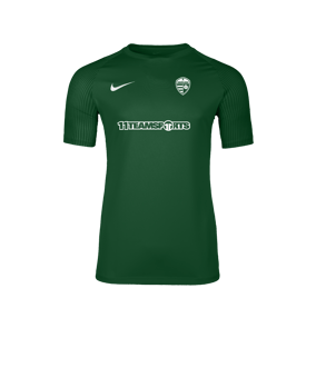 Nike Academy II Trikot Grün F302
