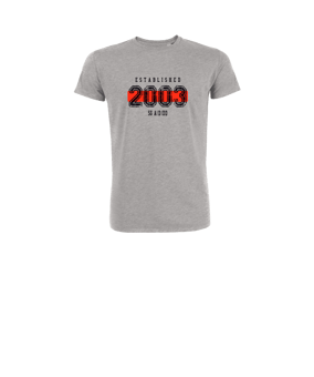 Merch Mini Creator 2.0 T-Shirt Kids Heather Grey | #established