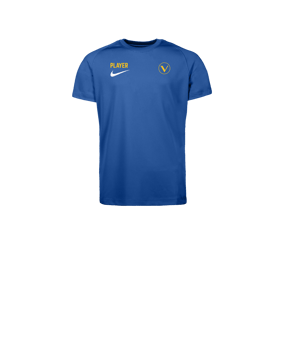Nike Park VIII Trikot Kids Blau F463