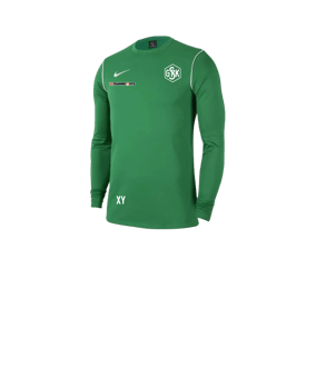 Nike Park 20 Sweatshirt Kids Grün Weiss F302