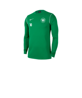 Nike Park 20 Sweatshirt Kids Grün F302