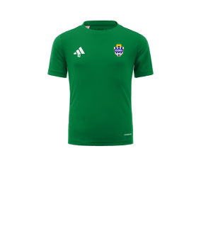 Maillot enfants adidas Tabela 23 Vert Blanc 
