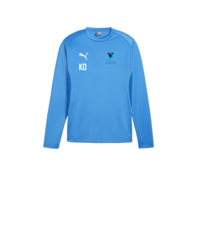 PUMA teamGOAL Training Sweatshirt Kids Blau F02