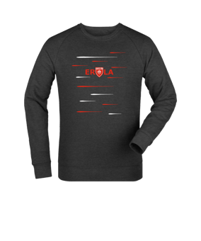 Merch Roller Sweatshirt Dark Heather Grey FC651