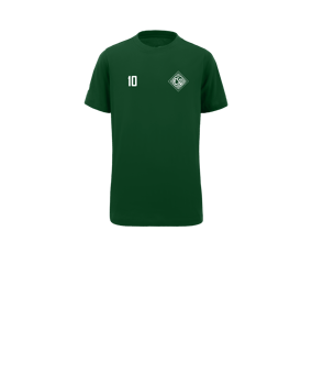 Nike Park 20 T-Shirt Kids Grün Weiss F302