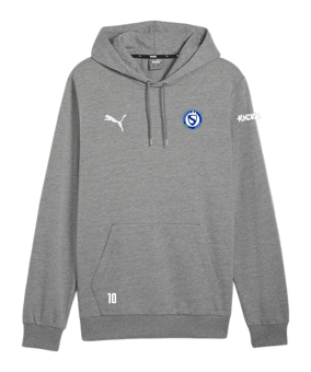 PUMA teamGOAL Casuals Hoody Grau F33