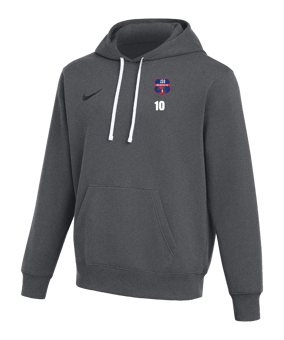 Nike Park 26 Hoody Grau F063