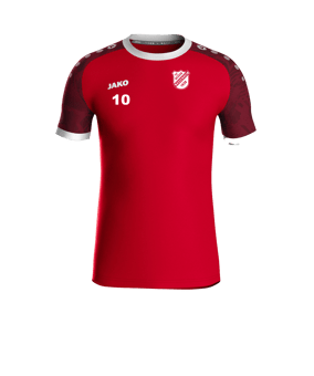 JAKO Iconic Trikot Rot F113