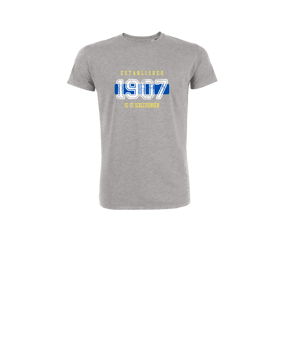 Merch Mini Creator 2.0 T-Shirt Kids Heather Grey FC250