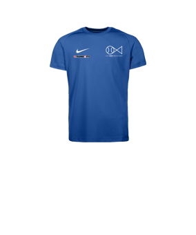 Nike Park VIII Trikot Kids Blau F463