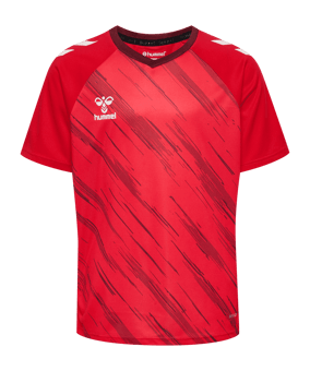 Hummel Match Triumph Trikot Kids Rot F3826 - rot