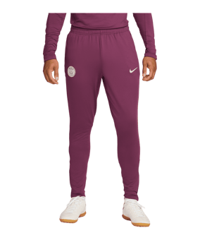 Nike Paris St. Germain Trainingshose Rot F610 - rot