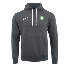 Sweat à capuche en polaire Nike Park 20 Gris blanc F071