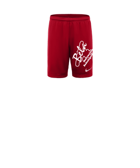 Nike Park III Short Kids Rot F657