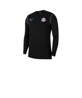 Nike Park 20 Sweatshirt Kids Schwarz Weiss F010