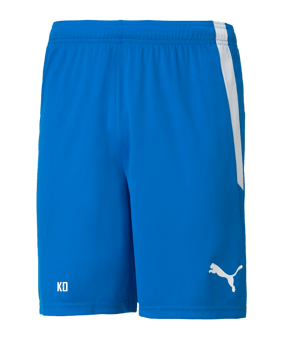 PUMA teamLIGA Short Blau F02