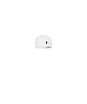 Merch 5 Panel Classic Snapback Cap White Green