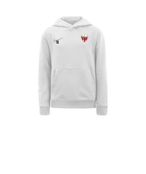 Sweat à capuche en polaire Nike Park 20 enfants Blanc gris F101