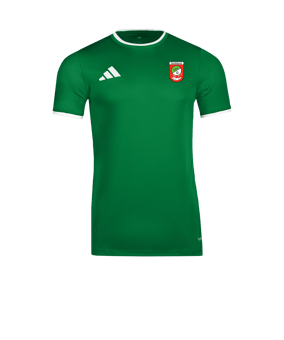 adidas Entrada 26 Trikot Grün