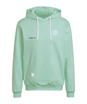 adidas Entrada 22 Hoody Türkis