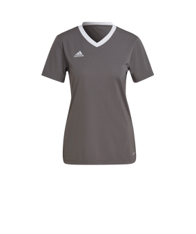 adidas Entrada 22 Trikot Damen Grau Weiss