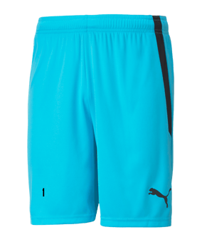 PUMA teamLIGA Short Kids Blau Schwarz F40