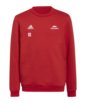 adidas Entrada 22 Sweatshirt Kids Rot