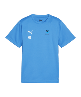 PUMA teamGOAL Trikot Kids Blau F02
