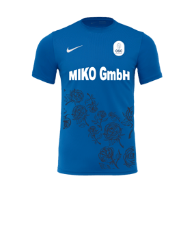 Nike Park VII Trikot kurzarm Blau F463