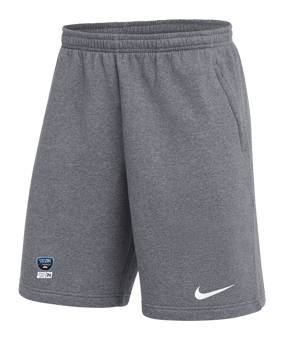 Nike Park 26 Short Grau F071