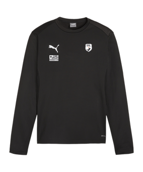 PUMA teamGOAL Training Sweatshirt Schwarz F03