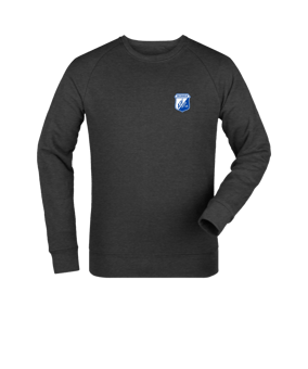 Merch Roller Sweatshirt Dark Heather Grey | #logo4c