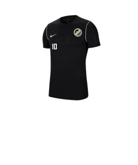 Nike Park 20 T-Shirt Kids Schwarz F010