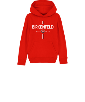 Merch Mini Cruiser 2.0 Hoody Kids Red FC004
