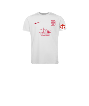 Nike Park VIII Trikot Kids Weiß F103