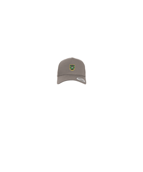 Merch 5 Panel Curved Snapback Cap Grey | #logo4c