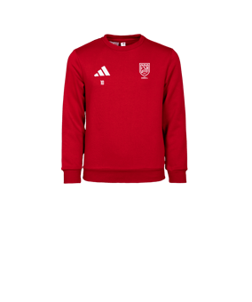 Sweat enfant col rond coton Entrada 26