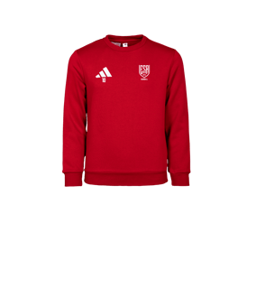 Sweat enfant col rond coton Entrada 26