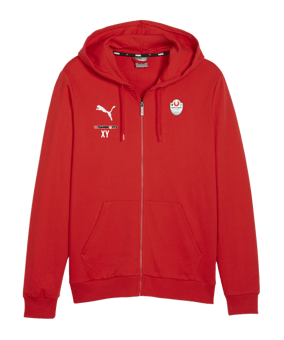 PUMA teamGOAL Casuals Kapuzenjacke Rot F01