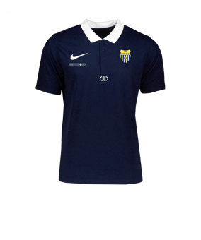 Nike Park 20 Poloshirt Blau Weiss F451