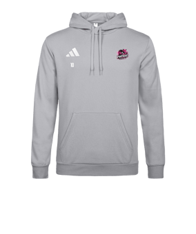 adidas Entrada 26 Sweatshirt à capuche Gris 
