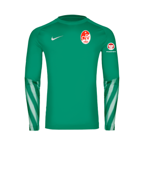 Nike Park V Torwarttrikot Langarm Grün F324