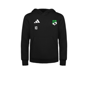 adidas Entrada 26 Hoody Kids Schwarz