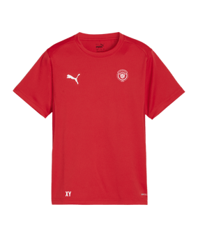 PUMA teamGOAL Trikot Kids Rot F01