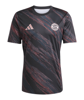 adidas FC Bayern München Prematch Shirt 2025/2026 Schwarz - schwarz