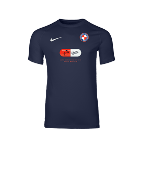 Nike Park VIII Trikot Blau F410